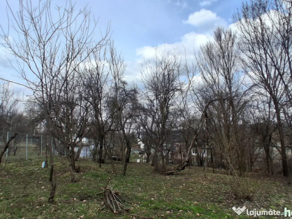 Casă cu teren generos de vânzare în Poiana Câmpina 