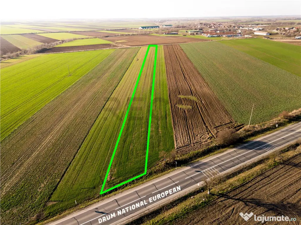 RECO teren 5000mp cu deschidere la DN19 Tamaseu 
