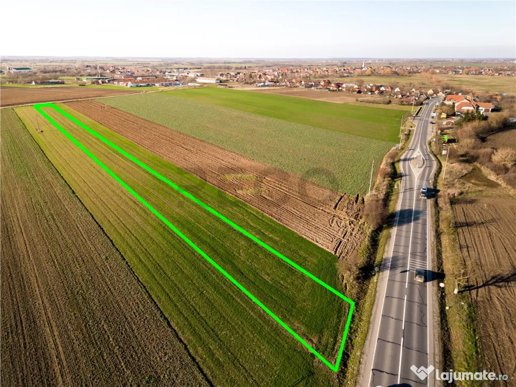 RECO teren 5000mp cu deschidere la DN19 Tamaseu 