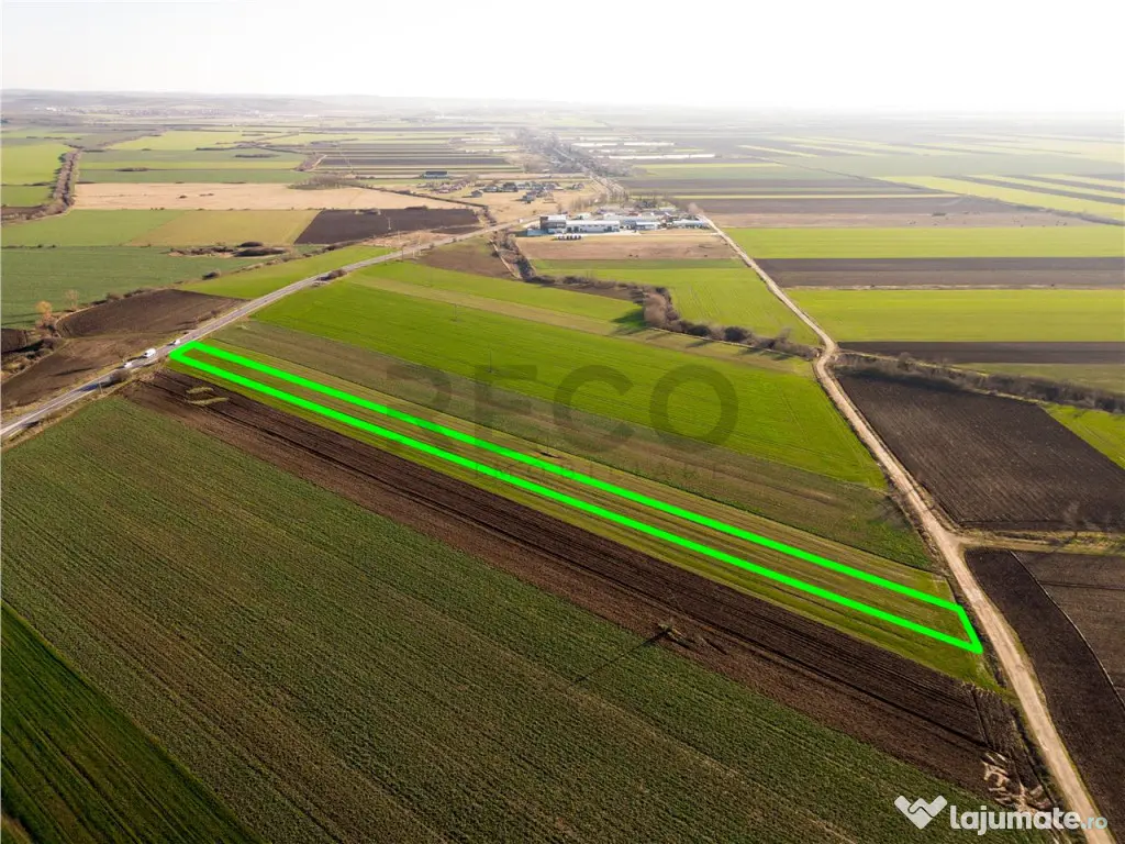 RECO teren 5000mp cu deschidere la DN19 Tamaseu 