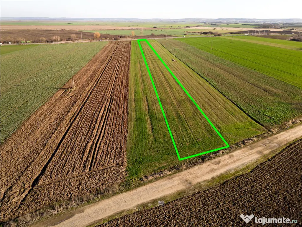 RECO teren 5000mp cu deschidere la DN19 Tamaseu 