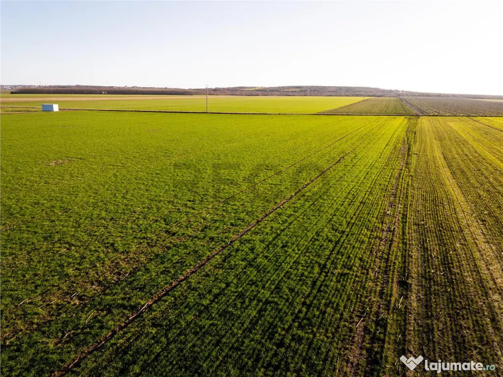 RECO Teren extravilan in Biharia 5500 mp zona intravilana