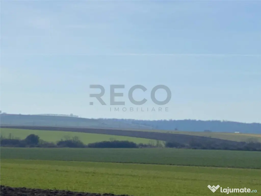 RECO Teren pentru investitie 4ha Tauteu-Zona Autostrazii T 