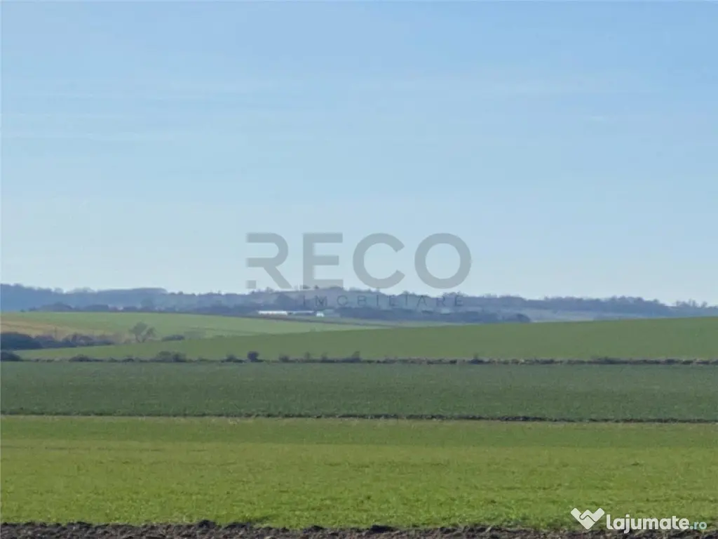 RECO Teren pentru investitie 4ha Tauteu-Zona Autostrazii T 