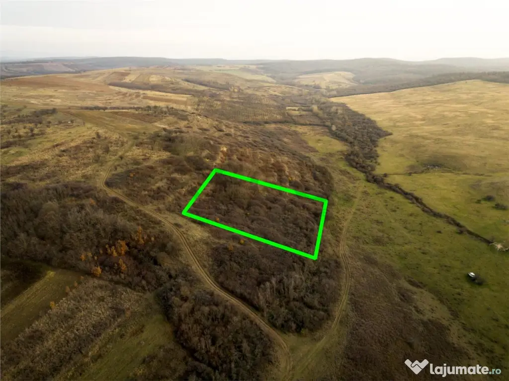 RECO . Teren extravilan . Uileacul de munte 