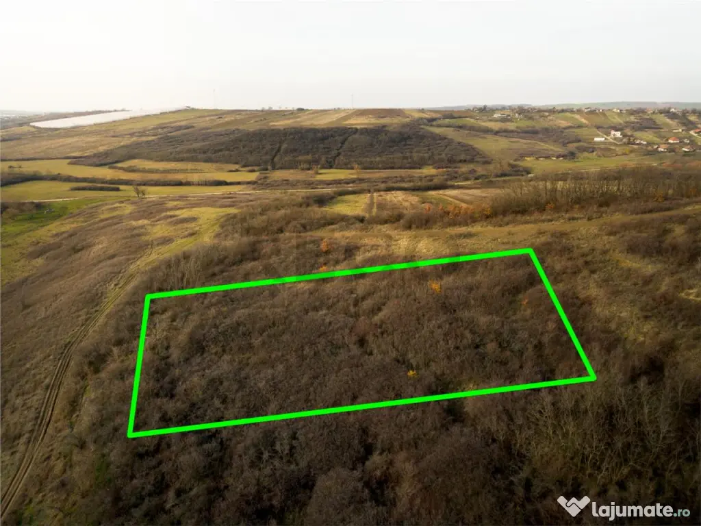 RECO . Teren extravilan . Uileacul de munte 