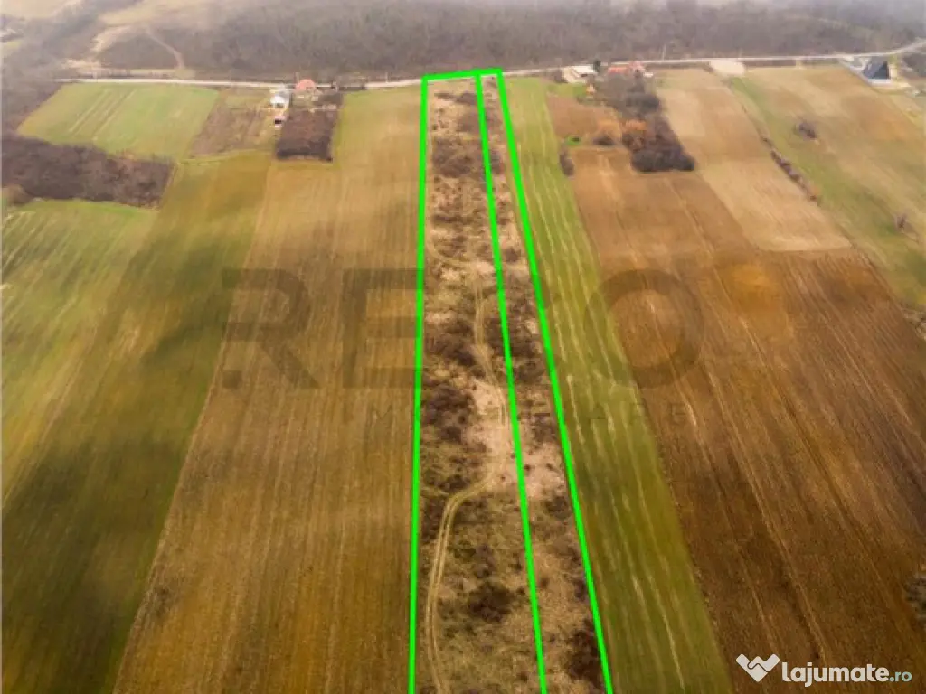 RECO Teren in Burzuc 13 041mp 