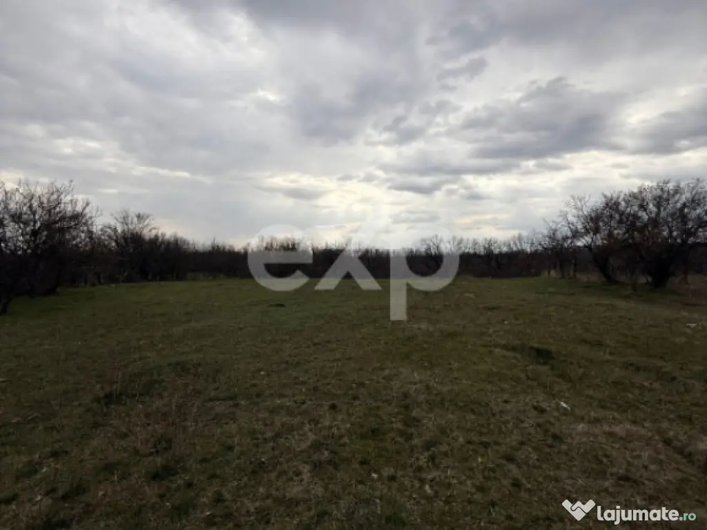 Teren intravilan 3052 mp | Băcești, Drăganu | asfalt | ut 