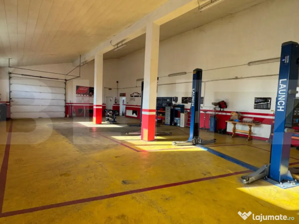 Afacere la cheie, casa de locuit si 28 ari de teren in Arcal 