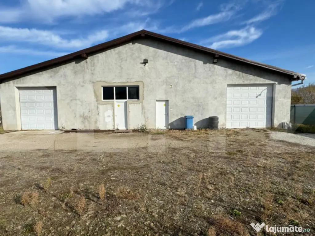 Afacere la cheie, casa de locuit si 28 ari de teren in Arcal 