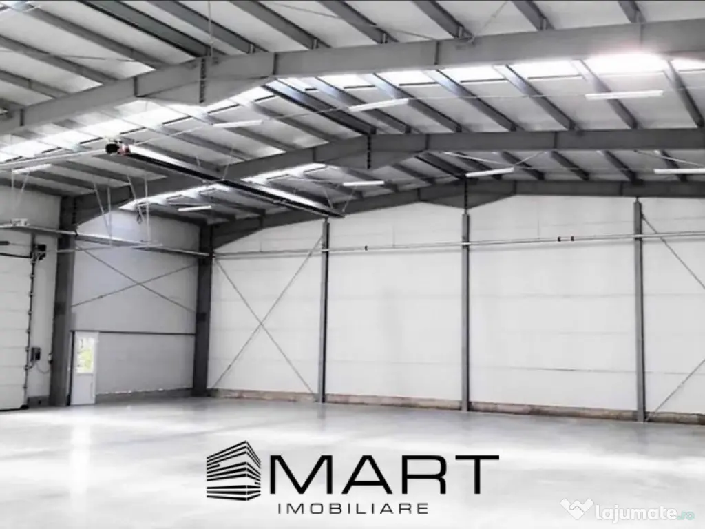 Hala 1057 mp Parc Industrial Stefan cel Mare 
