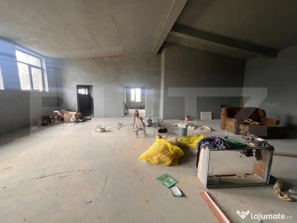 Hala 186 mp, Cosoveni, curte 2053 mp 