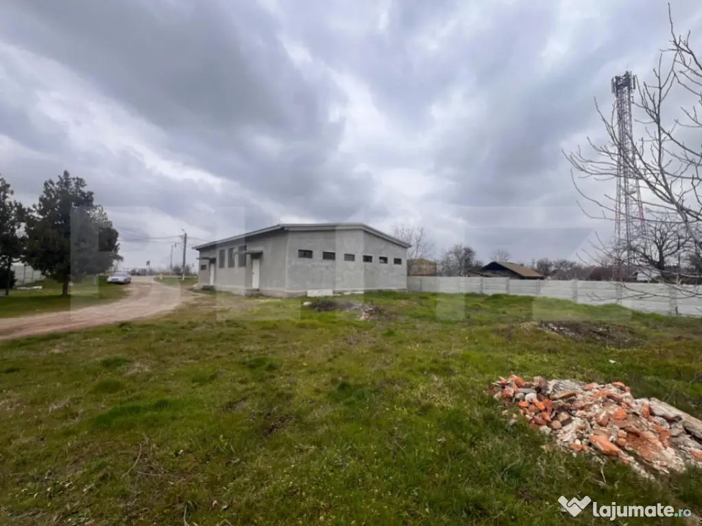 Hala 186 mp, Cosoveni, curte 2053 mp 