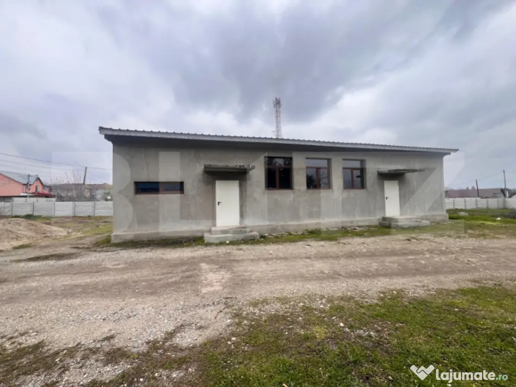 Hala 186 mp, Cosoveni, curte 2053 mp 