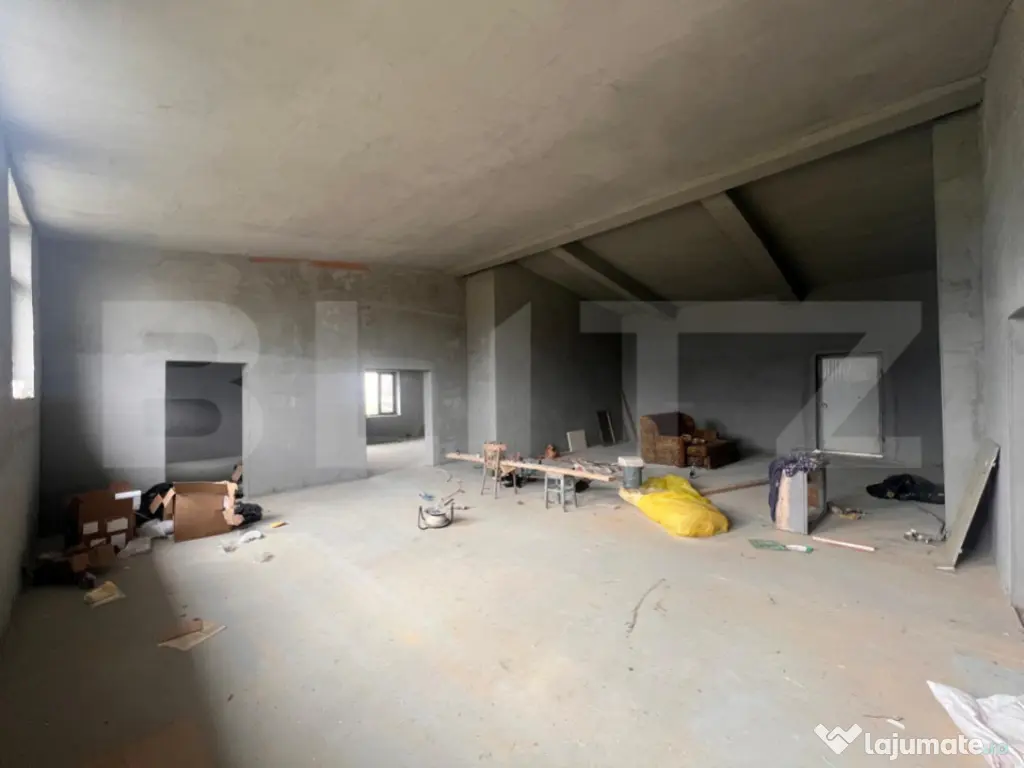 Hala 186 mp, Cosoveni, curte 2053 mp 