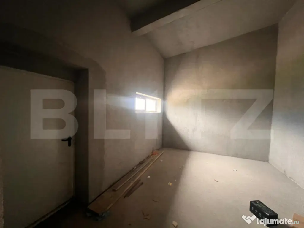 Hala 186 mp, Cosoveni, curte 2053 mp 