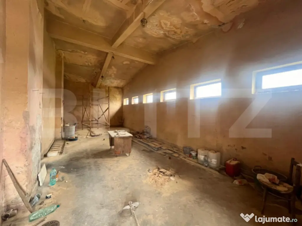 Hala 186 mp, Cosoveni, curte 2053 mp 