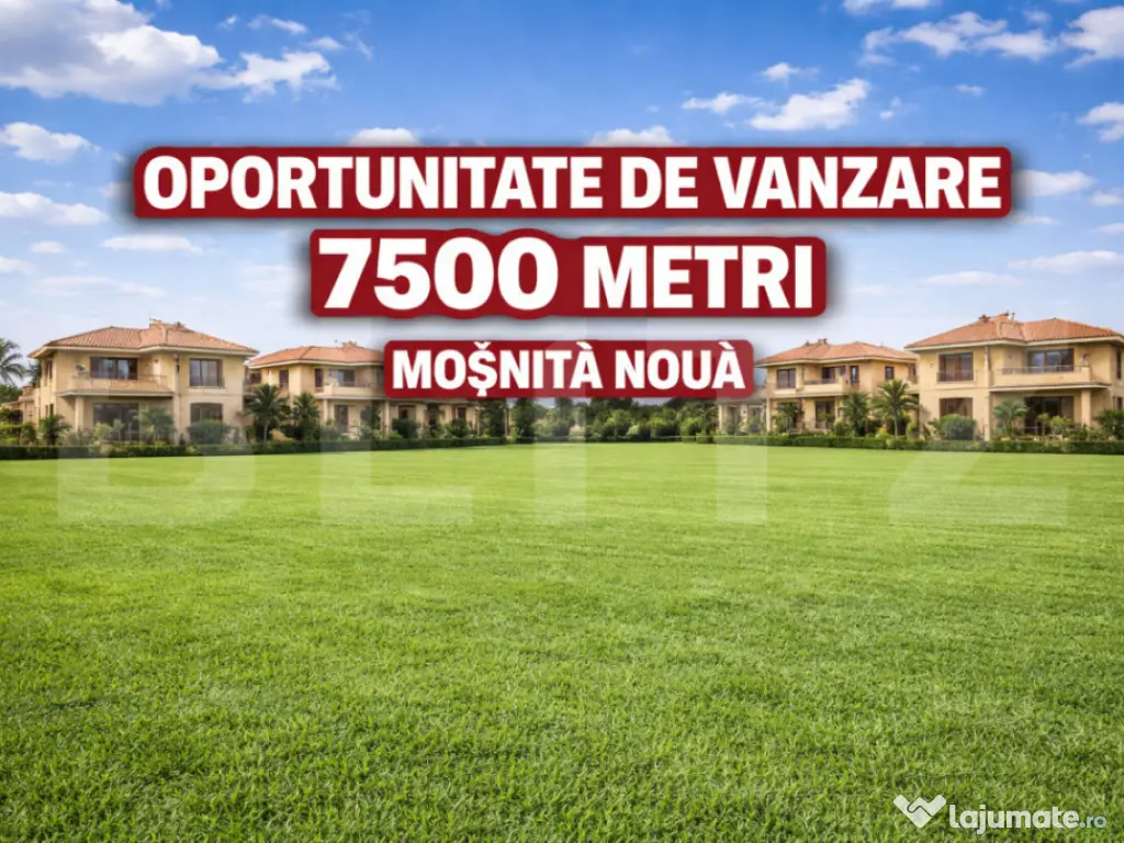 Teren de vanzare 7500 metri, Mosnita Noua 