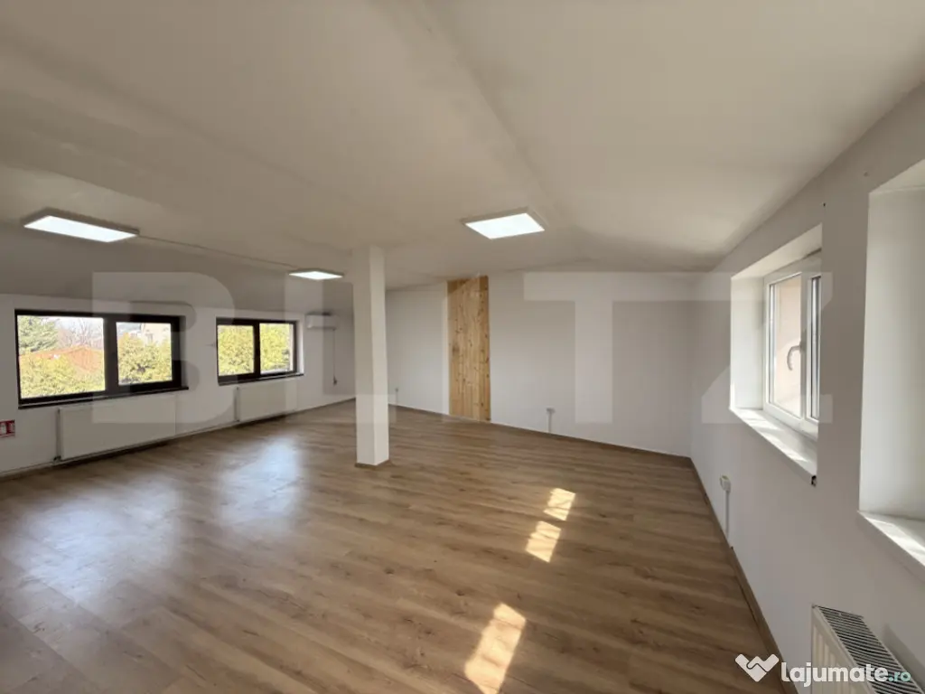 Clădire birouri P + M cu 230 mp utili, 661 mp teren, Breste 