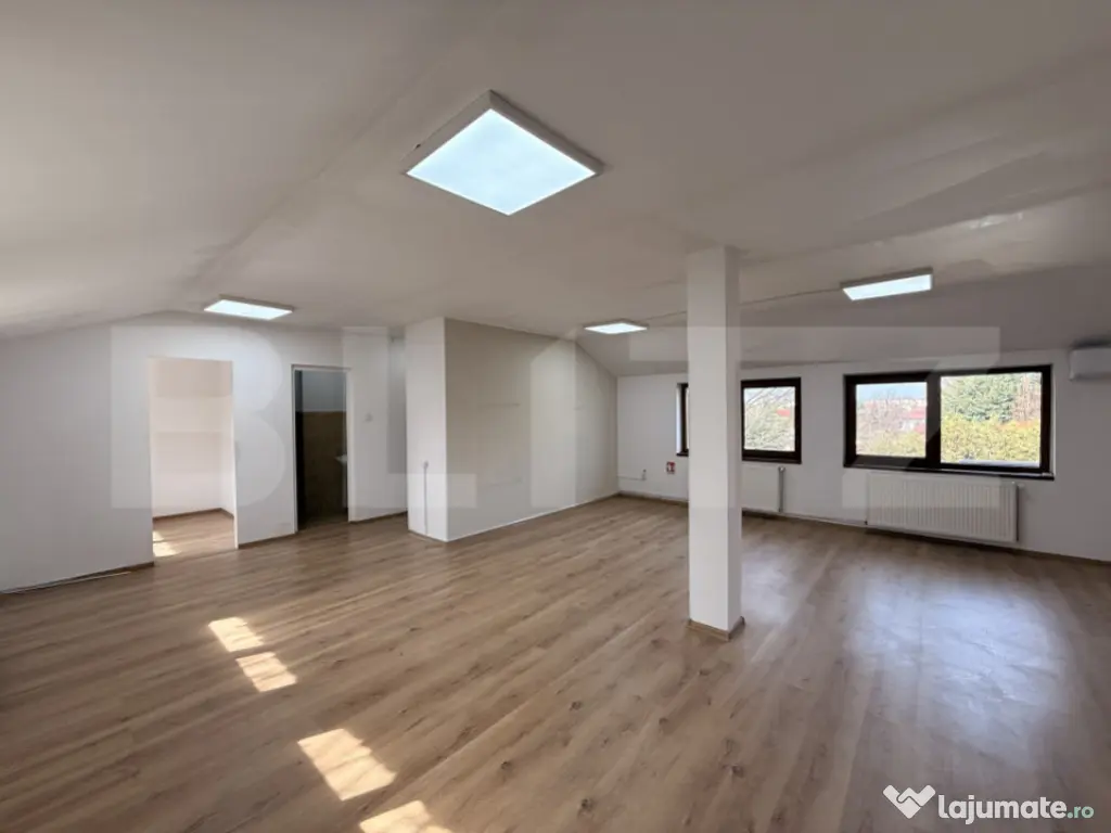 Clădire birouri P + M cu 230 mp utili, 661 mp teren, Breste 