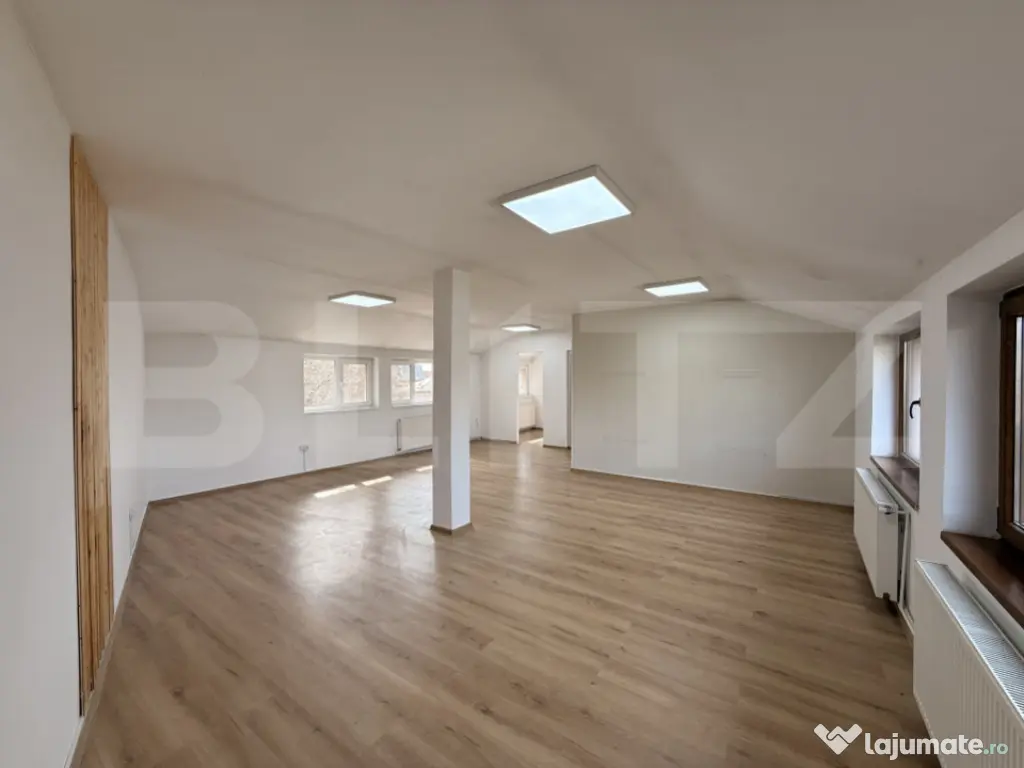 Clădire birouri P + M cu 230 mp utili, 661 mp teren, Breste 