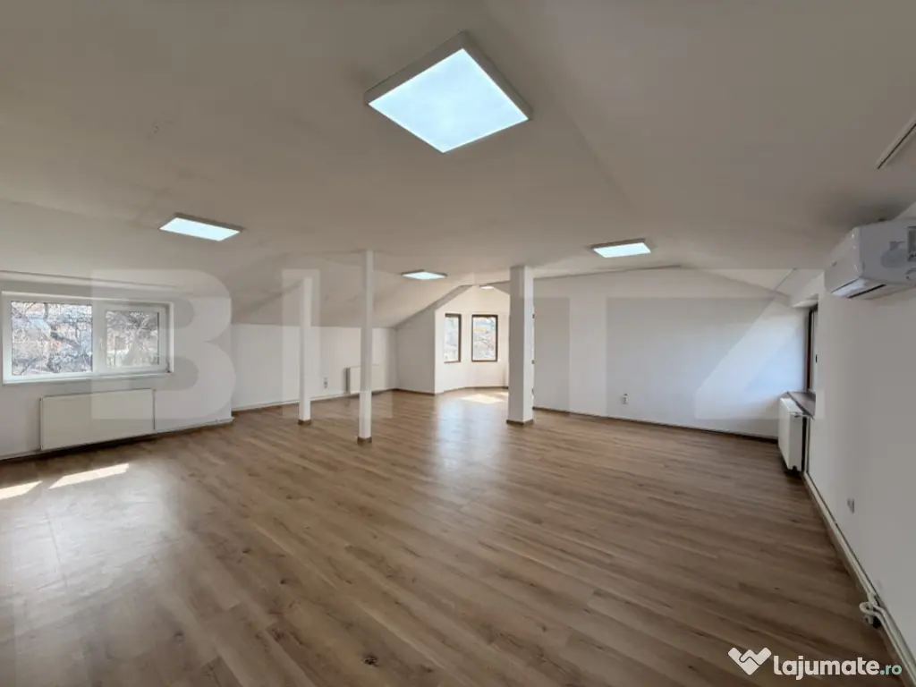 Clădire birouri P + M cu 230 mp utili, 661 mp teren, Breste 