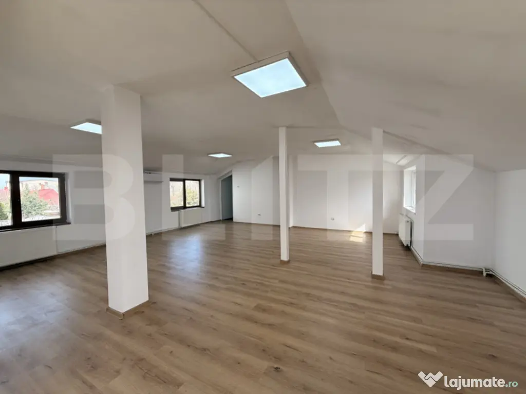 Clădire birouri P + M cu 230 mp utili, 661 mp teren, Breste 