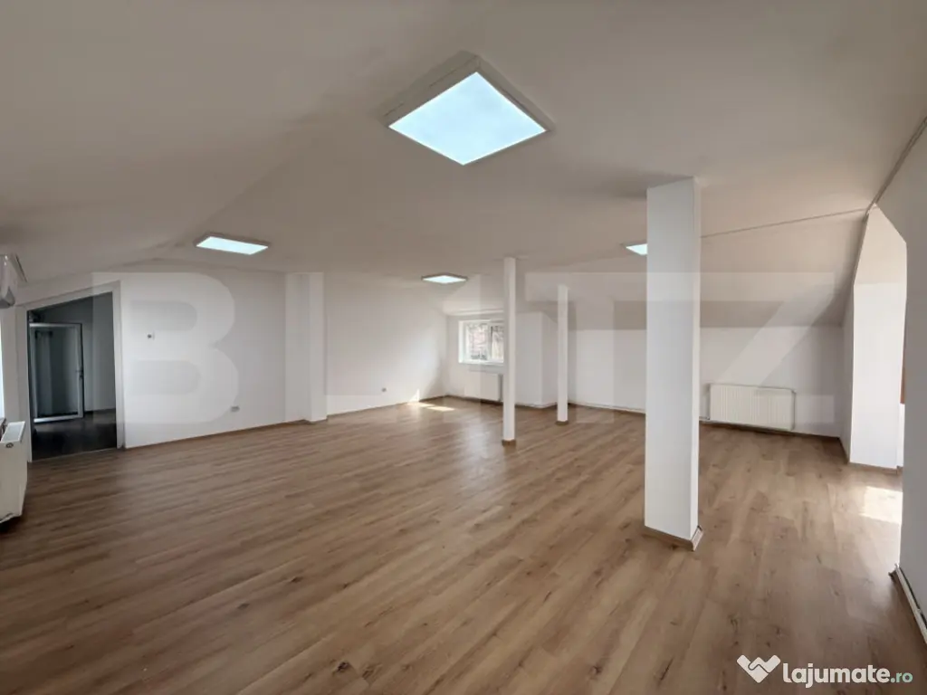 Clădire birouri P + M cu 230 mp utili, 661 mp teren, Breste 