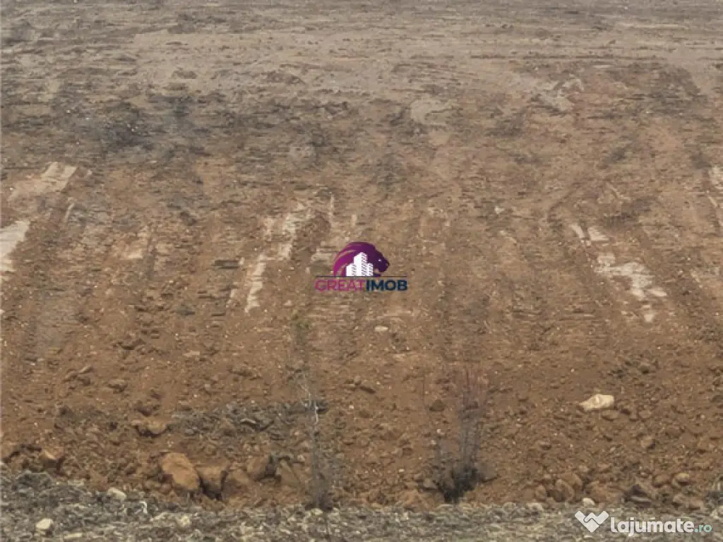 Teren 55.500 mp Snagov Lac 