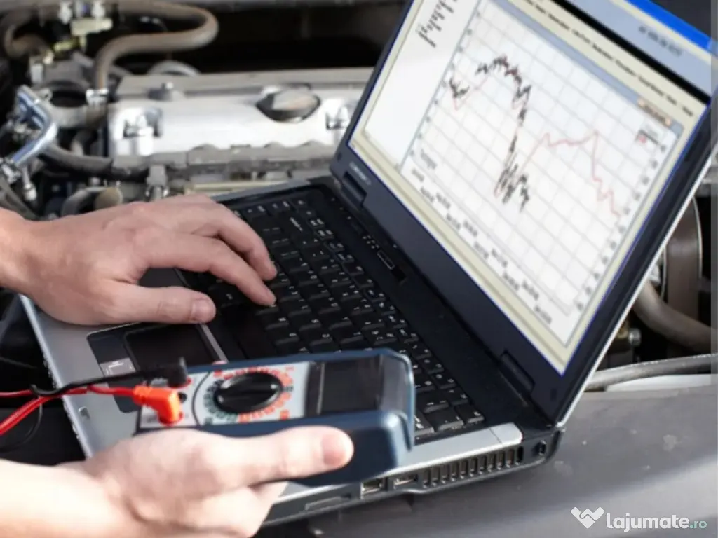 Diagnoza Dacia Renault 