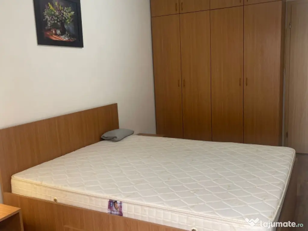 Brancoveanu alunisului vultureni bloc nou 