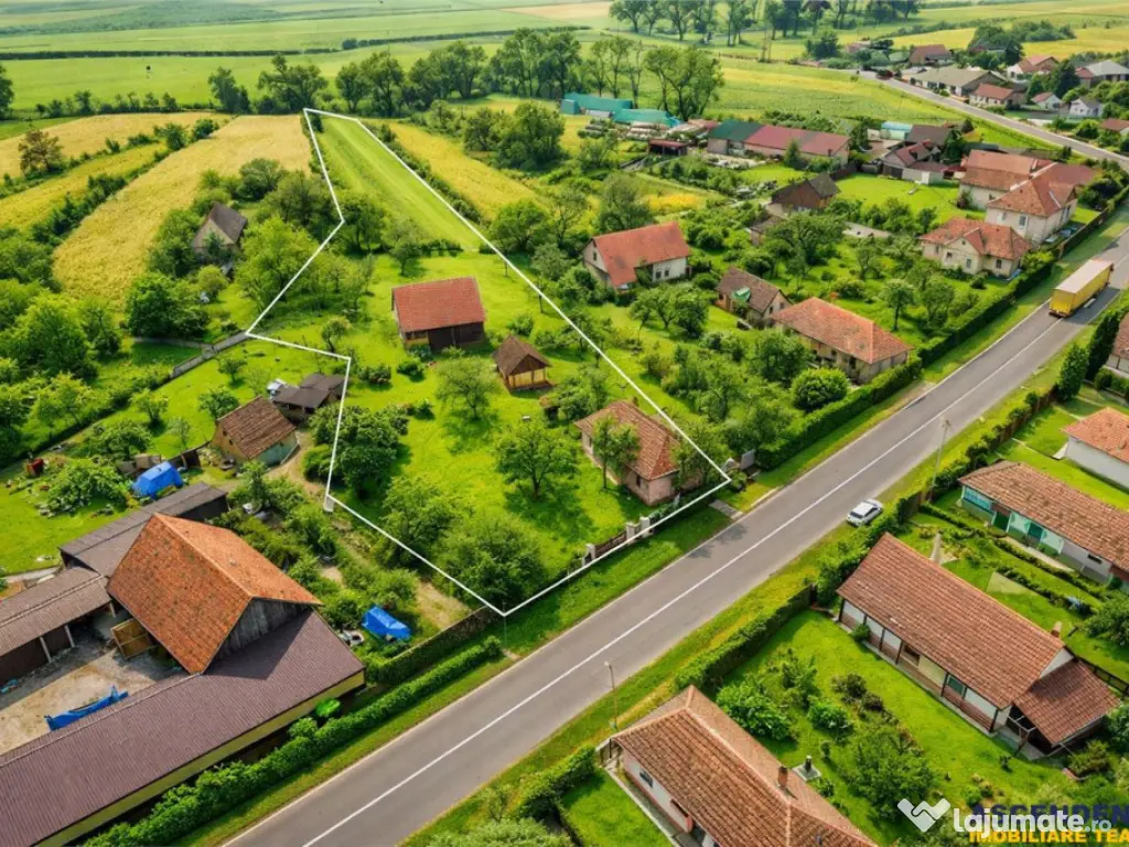 FILM! Oaza ta de liniste pe 4.900mp teren intravilan, Tufala