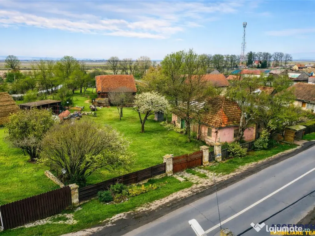 FILM! Oaza ta de liniste pe 4.900mp teren intravilan, Tufala
