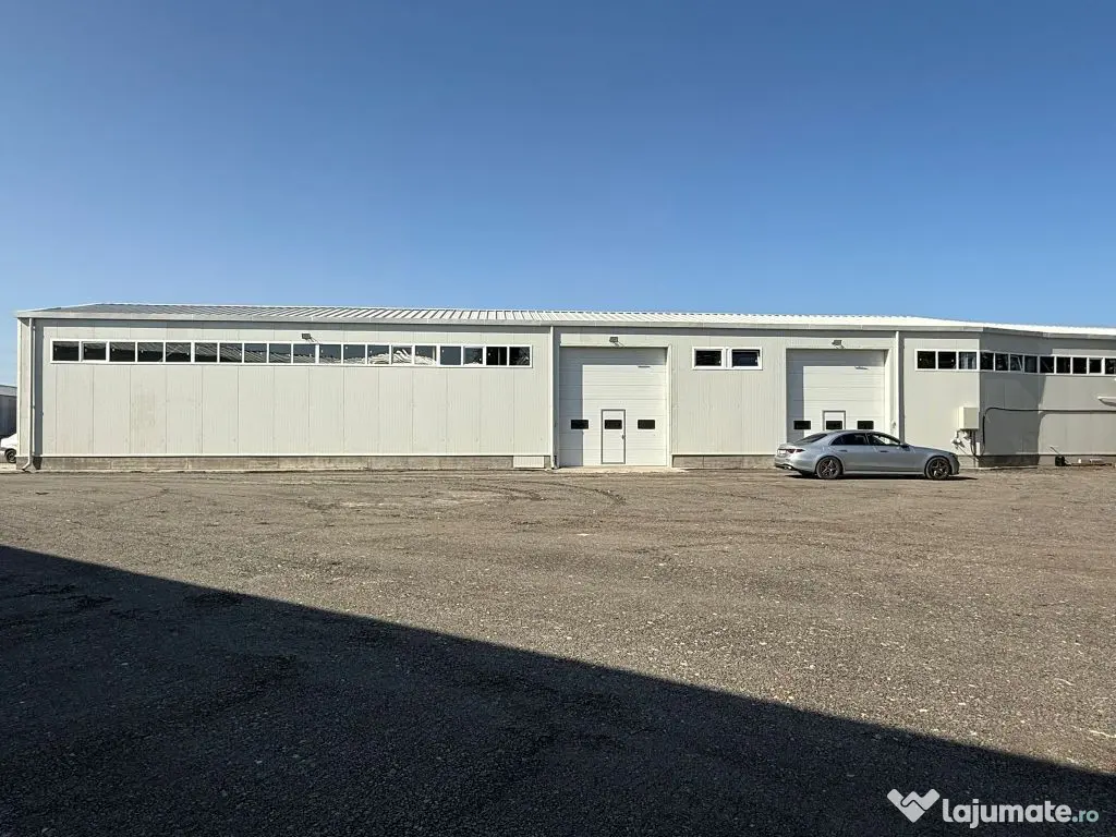 Zona industriala Hala Noua 