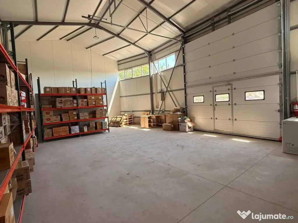 Zona industriala Hala Noua 