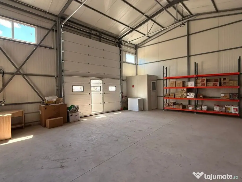 Zona industriala Hala Noua 