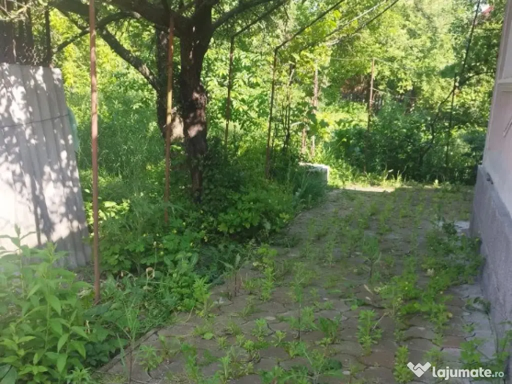 Casa de vanzare cu gradina,Turda Noua 