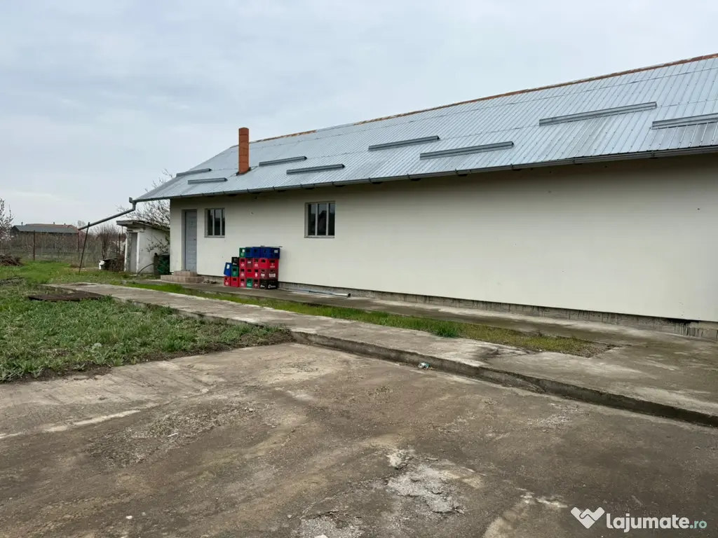 Spațiu comercial Șeitin 703 mp teren vitrină stradală 