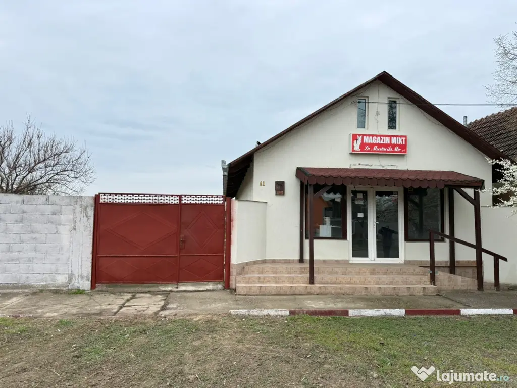 Spațiu comercial Șeitin 703 mp teren vitrină stradală 