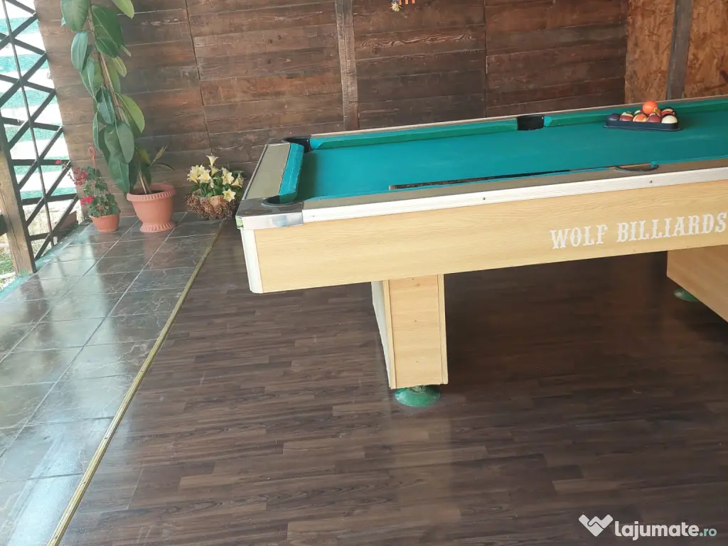 Vând pensiune 14 camere mobilata complet comuna MALUL CU FLORI in jud. Dambovita 