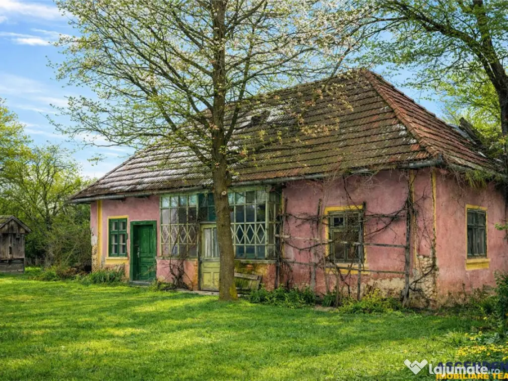 FILM! 4.900mp teren intravilan, cu casa, in Tufalau, Covasna 