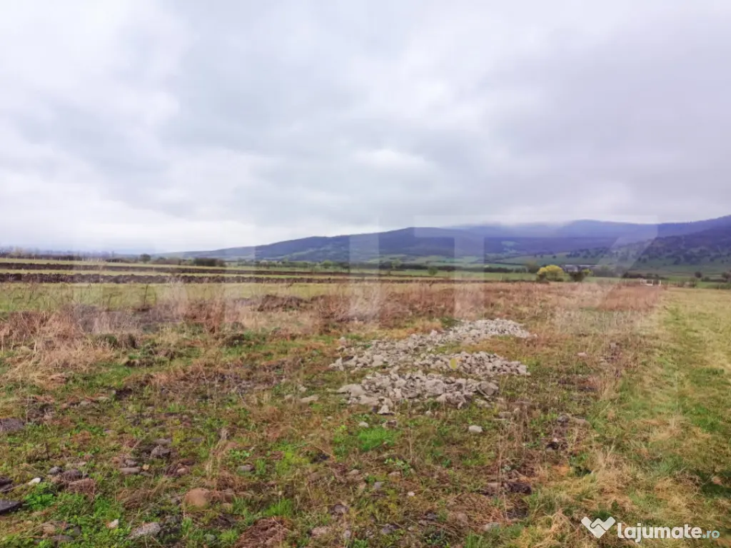 Teren 10 ari – Zona Aerodrom | Zonă în dezvoltare | Făr 