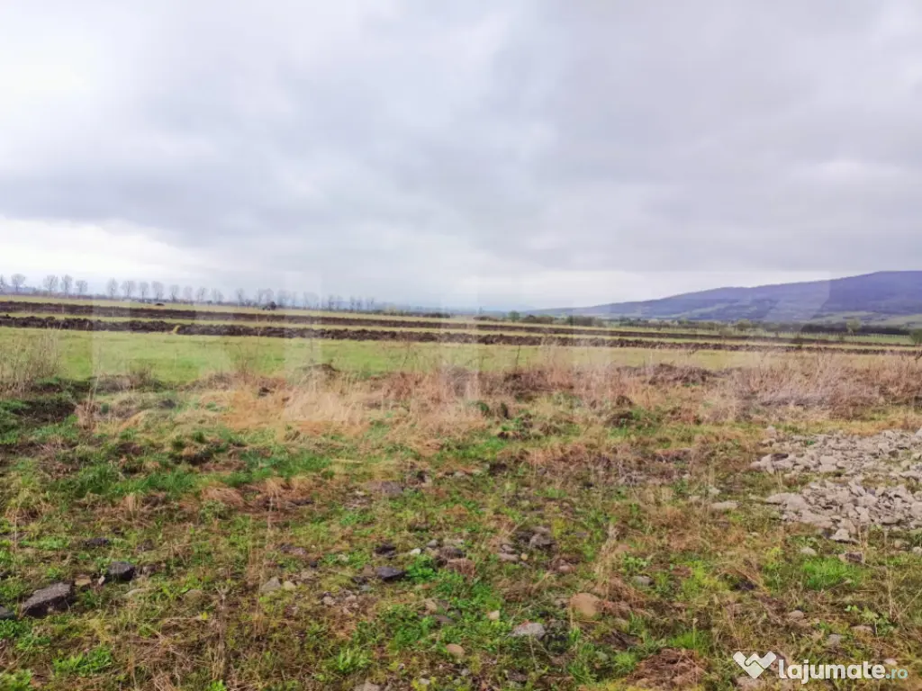 Teren 10 ari – Zona Aerodrom | Zonă în dezvoltare | Făr 