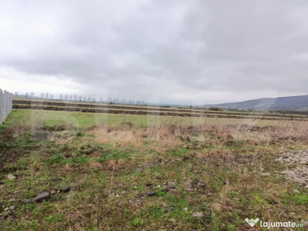 Teren 10 ari – Zona Aerodrom | Zonă în dezvoltare | Făr 