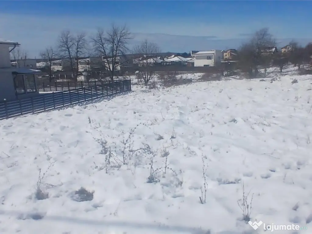 Teren intravilan 6345mp de viforata