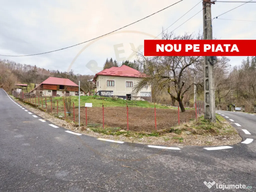 Casa la munte cu teren generos in Com. Nucsoara, loc. Slat 