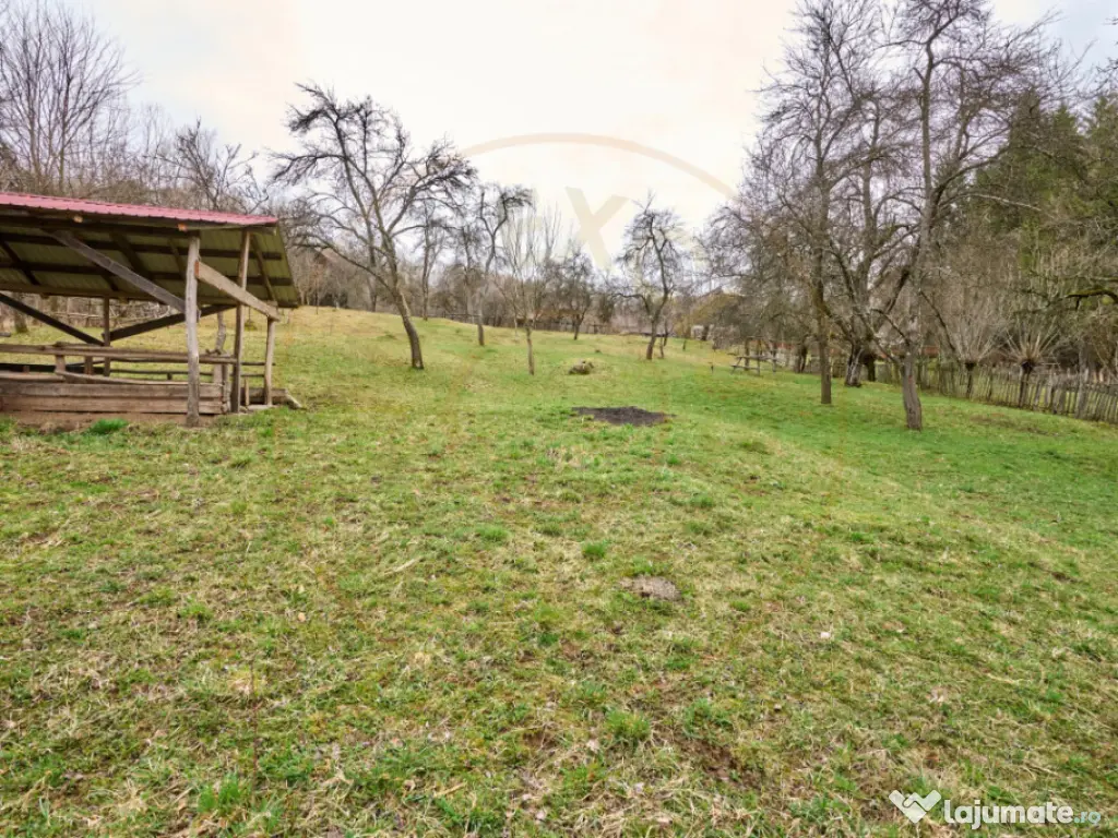 Casa la munte cu teren generos in Com. Nucsoara, loc. Slat 