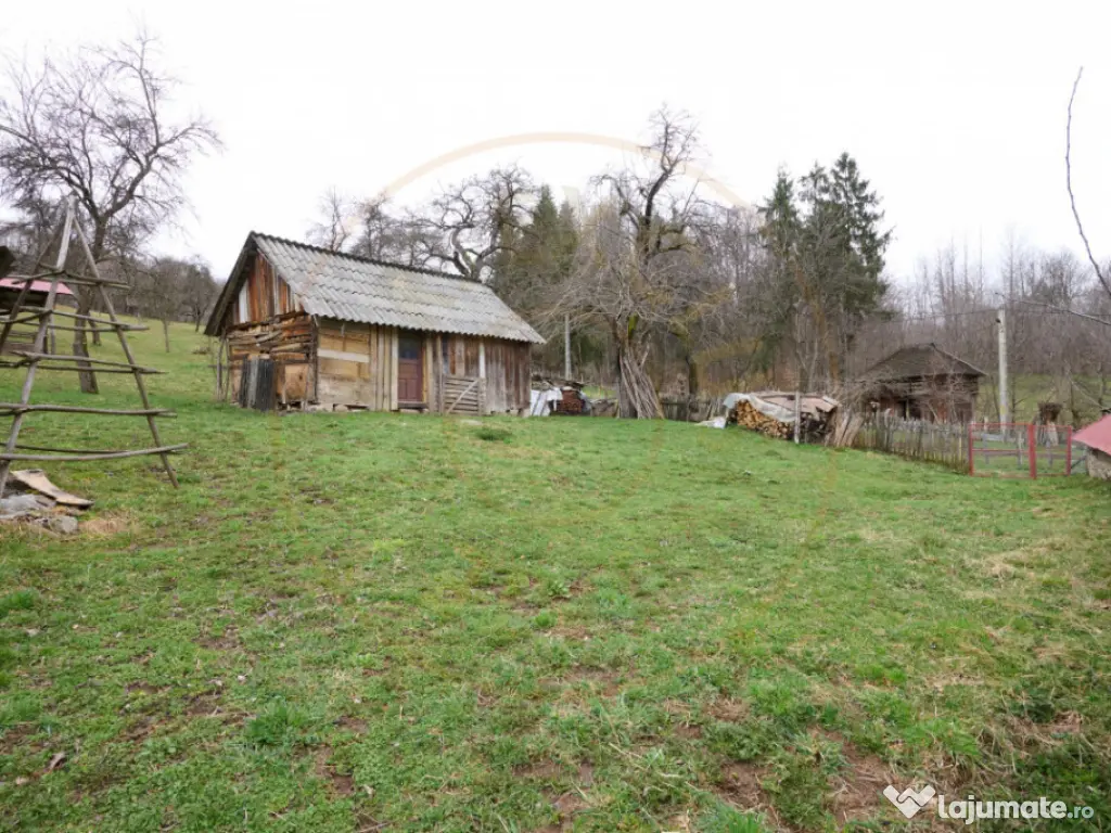 Casa la munte cu teren generos in Com. Nucsoara, loc. Slat 