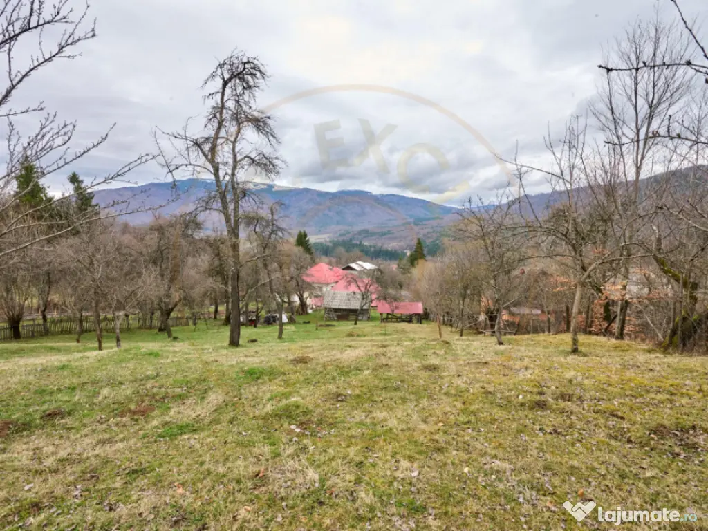 Casa la munte cu teren generos in Com. Nucsoara, loc. Slat 