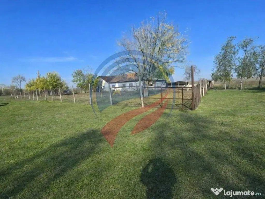 Casa de vanzare Macesul de Jos 